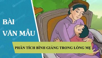 Phan tich E28093 binh giang bai Trong long me 390x220 1 Phan tich E28093 binh giang bai Trong long me 390x220 1