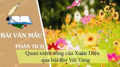 Phan tich Voi vang de thay quan niem song cua 390x220 1 Phan tich Voi vang de thay quan niem song cua 390x220 1