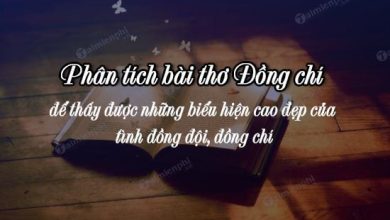 Phan tich bai tho Dong chi de thay duoc nhung 390x220 1 Phan tich bai tho Dong chi de thay duoc nhung 390x220 1