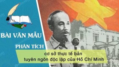 Phan tich co so thuc te ban tuyen ngon doc 390x220 1 Phan tich co so thuc te ban tuyen ngon doc 390x220 1