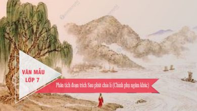 Phan tich doan trich Sau phut chia li Chinh phu 390x220 1 Phan tich doan trich Sau phut chia li Chinh phu 390x220 1