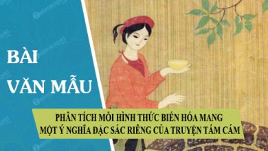 Phan tich moi hinh thuc bien hoa mang mot y 390x220 1 Phan tich moi hinh thuc bien hoa mang mot y 390x220 1