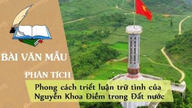 Phan tich phong cach triet luan tru tinh cua Nguyen 390x220 1 Phan tich phong cach triet luan tru tinh cua Nguyen 390x220 1