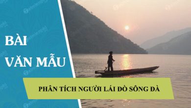 Phan tich tac pham Nguoi lai do song Da cua 390x220 1 Phan tich tac pham Nguoi lai do song Da cua 390x220 1