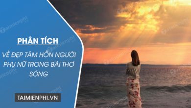 Phan tich ve dep tam hon nguoi phu nu trong 390x220 1 Phan tich ve dep tam hon nguoi phu nu trong 390x220 1