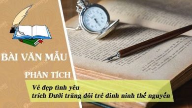 Phan trich ve dep tinh yeu o doan trich Duoi 390x220 1 Phan trich ve dep tinh yeu o doan trich Duoi 390x220 1