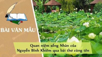 Quan niem song Nhan cua Nguyen Binh Khiem qua bai 390x220 1 Quan niem song Nhan cua Nguyen Binh Khiem qua bai 390x220 1