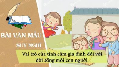 Suy nghi ve vai tro cua tinh cam gia dinh 390x220 1 Suy nghi ve vai tro cua tinh cam gia dinh 390x220 1