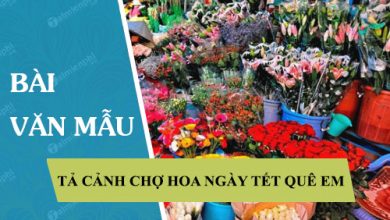 Ta canh cho hoa ngay tet que em 390x220 1 Ta canh cho hoa ngay tet que em 390x220 1