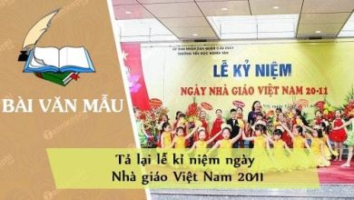 Ta lai le ki niem ngay Nha giao Viet Nam 390x220 1 Ta lai le ki niem ngay Nha giao Viet Nam 390x220 1