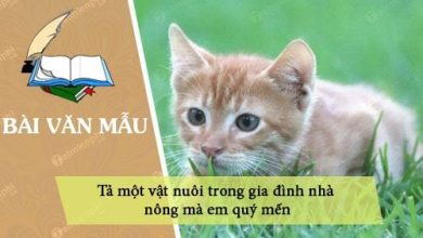 Ta mot vat nuoi trong gia dinh nha nong ma 390x220 1 Ta mot vat nuoi trong gia dinh nha nong ma 390x220 1