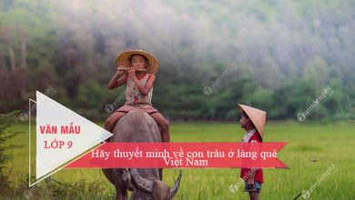 Thuyet minh ve con trau o lang que Viet Nam 390x220 1 Thuyet minh ve con trau o lang que Viet Nam 390x220 1