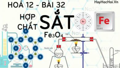 Tinh chat hoa hoc cua Sat 2 Sat 3 oxit 390x220 2 Tinh chat hoa hoc cua Sat 2 Sat 3 oxit 390x220 2