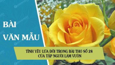 Tinh yeu lua doi trong bai tho so 28 cua 390x220 1 Tinh yeu lua doi trong bai tho so 28 cua 390x220 1