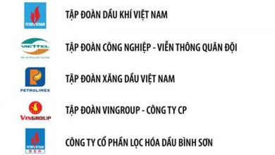 Top 10 BE1BAA3ng xE1BABFp hE1BAA1ng Top 500 Doanh nghiE1BB87p lE1BB9Bn nhE1BAA5t ViE1BB87t Nam nC483m 2019 390x220 1 Top 10 BE1BAA3ng xE1BABFp hE1BAA1ng Top 500 Doanh nghiE1BB87p lE1BB9Bn nhE1BAA5t ViE1BB87t Nam nC483m 2019 390x220 1