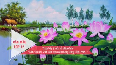 Trinh bay y kien ve nhan dinh Nen van hoc 390x220 1 Trinh bay y kien ve nhan dinh Nen van hoc 390x220 1