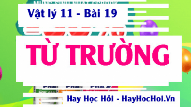 Tu truong la gi Duong suc tu cua dong dien 390x220 1 Tu truong la gi Duong suc tu cua dong dien 390x220 1