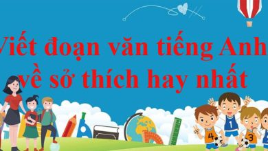 Viet 1 doan van bang tieng Anh noi ve so 390x220 1 Viet 1 doan van bang tieng Anh noi ve so 390x220 1