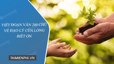 Viet doan van 200 chu ve dao ly cua long 390x220 1 Viet doan van 200 chu ve dao ly cua long 390x220 1