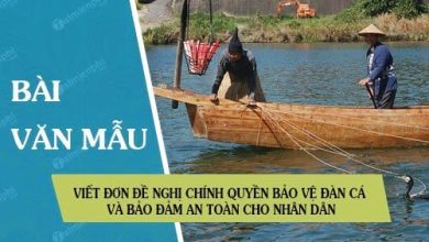 Viet don de nghi chinh quyen bao ve dan ca 390x220 1 Viet don de nghi chinh quyen bao ve dan ca 390x220 1