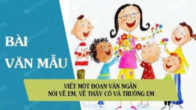 Viet mot doan van ngan noi ve em ve thay 390x220 1 Viet mot doan van ngan noi ve em ve thay 390x220 1