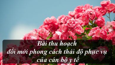 bai thu hoach doi moi phong cach thai do phuc vu doi voi nguoi benh 390x220 1 bai thu hoach doi moi phong cach thai do phuc vu doi voi nguoi benh 390x220 1