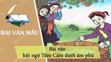 bai van hoi ngo tam cam duoi am phu 390x220 1 bai van hoi ngo tam cam duoi am phu 390x220 1