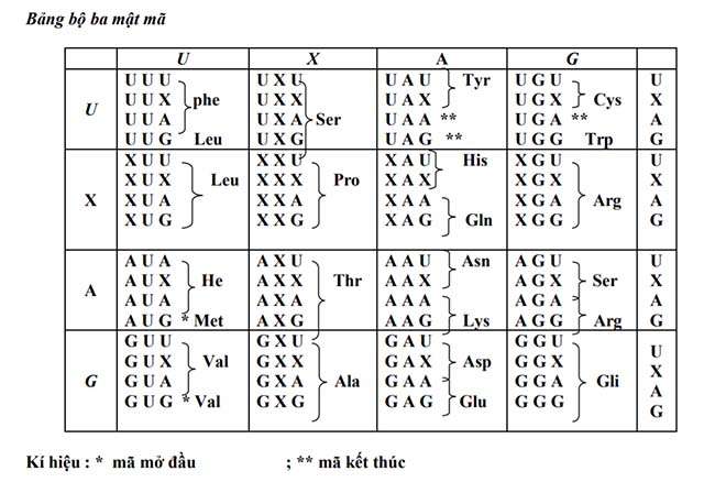 Bảng bộ ba mật mã