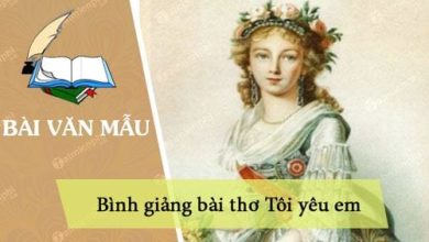 binh giang bai tho toi yeu em 390x220 2 binh giang bai tho toi yeu em 390x220 2