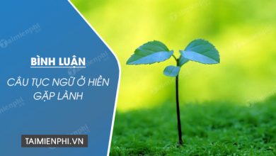 binh luan cau tuc ngu o hien gap lanh 390x220 1 binh luan cau tuc ngu o hien gap lanh 390x220 1