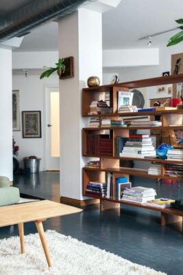 bookcase as hall partition