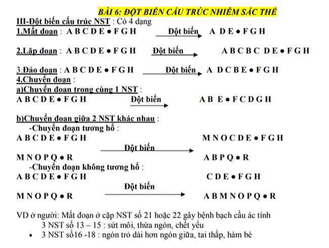 ĐỘT BIẾN CẤU TRÚC NHIỄM SẮC THỂ