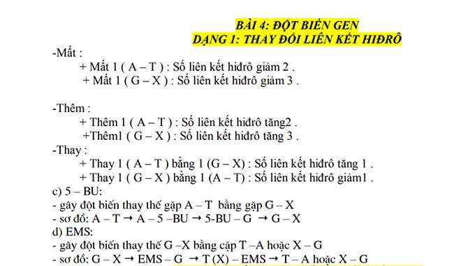 ĐỘT BIẾN GEN