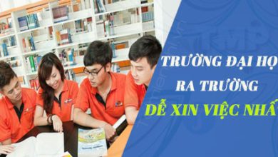 cac truong dai hoc ra truong de xin viec 390x220 1 cac truong dai hoc ra truong de xin viec 390x220 1