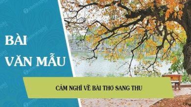 cam nghi ve bai tho sang thu 390x220 2 cam nghi ve bai tho sang thu 390x220 2