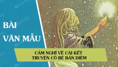 cam nghi ve cai ket truyen co be ban diem 390x220 1 cam nghi ve cai ket truyen co be ban diem 390x220 1