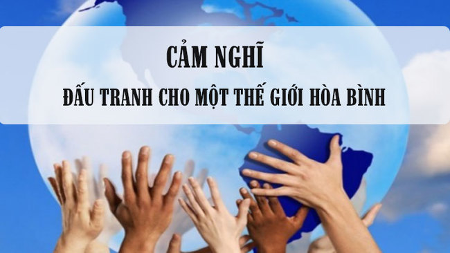 cam nghi ve dau tranh cho mot the gioi hoa binh rs650 cam nghi ve dau tranh cho mot the gioi hoa binh rs650