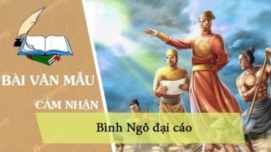 cam nhan bai binh ngo dai cao 390x220 2 cam nhan bai binh ngo dai cao 390x220 2