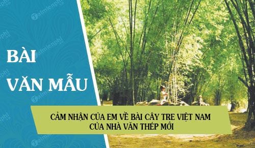 cam nhan cua em ve bai cay tre viet nam cua nha van thep moi