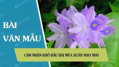 cam nhan kho dau bai mua xuan nho nho 390x220 1 cam nhan kho dau bai mua xuan nho nho 390x220 1