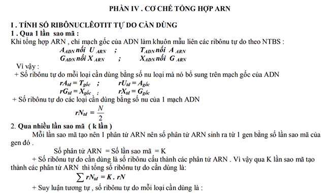 CƠ CHẾ TỔNG HỢP ARN