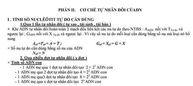 CƠ CHẾ TỰ NHÂN ĐÔI CỦADN