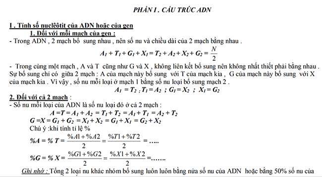 CẤU TRÚC ADN