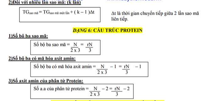 CẤU TRÚC PROTEIN