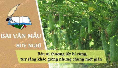 chung minh cau ca dao bau oi thuong lay bi cung tuy rang khac giong nhung chung mot gian