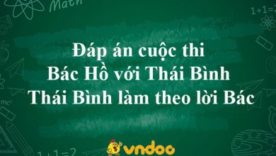 dap an cuoc thi bac ho voi thai binh 390x220 1 dap an cuoc thi bac ho voi thai binh 390x220 1