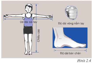 Đề câu c10 trang 11 vật lý 6 bài 2