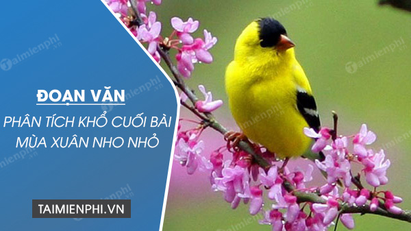 doan van phan tich kho cuoi bai mua xuan nho nho