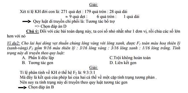 Giải 2