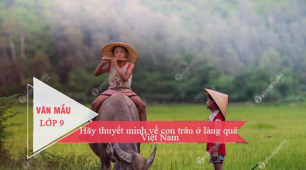 thuyết minh về con trâu